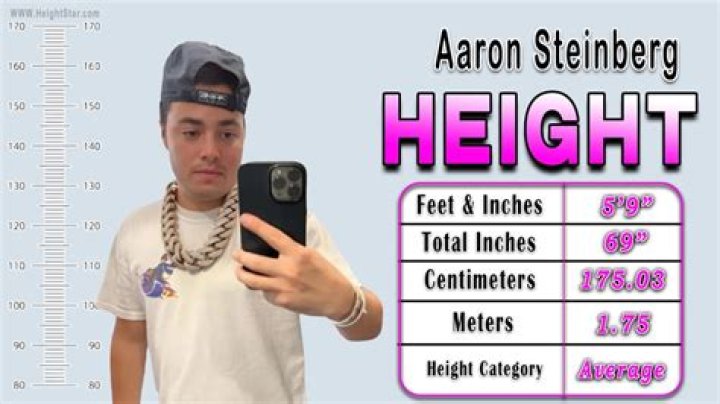Aaron Steinberg Nelk Height: Unpacking the Details of a Fan Favorite's Stature