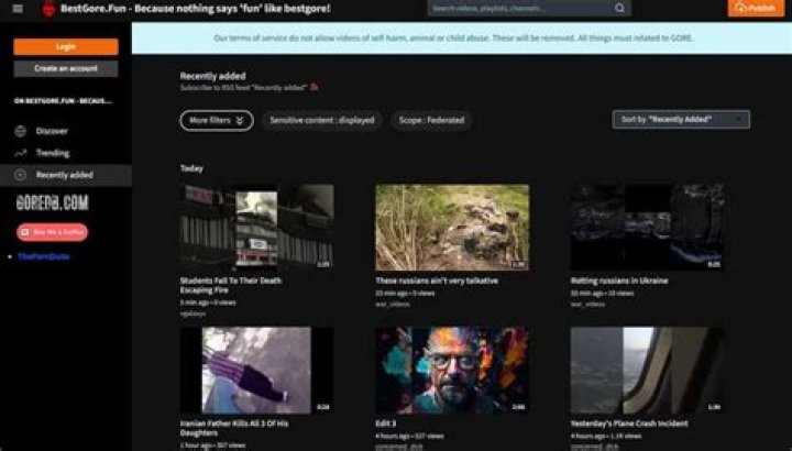 Conquering the Sites Gore: Understanding Website Creation's Tricky Bits