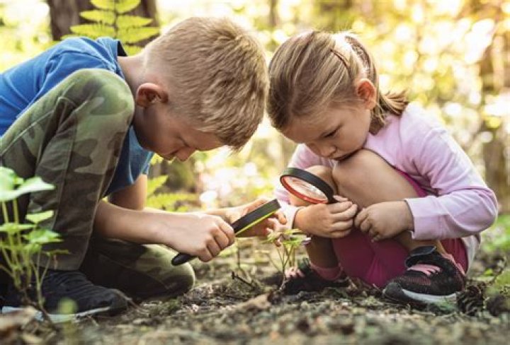 Curiosity About Andrea Canning Children: Exploring the Name and Public Interest
