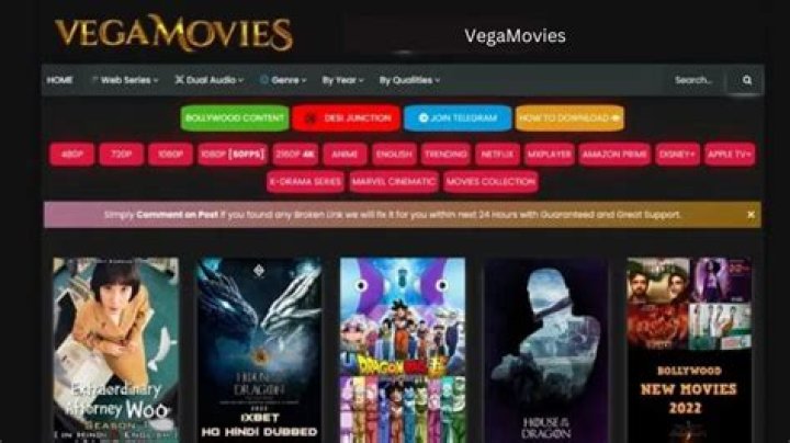 Discover Vegamovies NL: Risks, Features, and Safe Alternatives for 2024