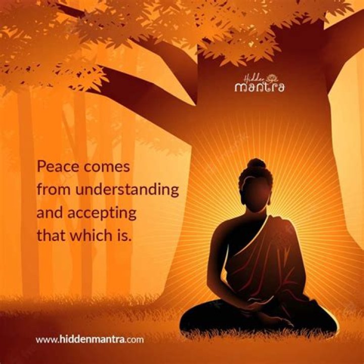 Discover What's New with masa 49.com: Your Peace of Mind Partner