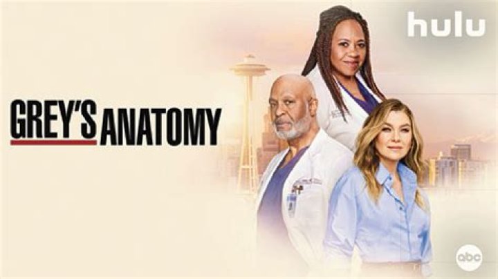 Exploring Grey's Anatomy Teddy: Her Journey and Impact
