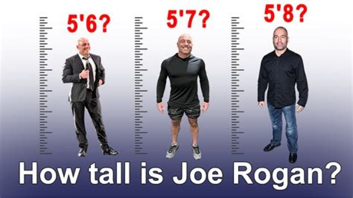 Figuring Out Joe Rogan's Height: The Definitive Discussion