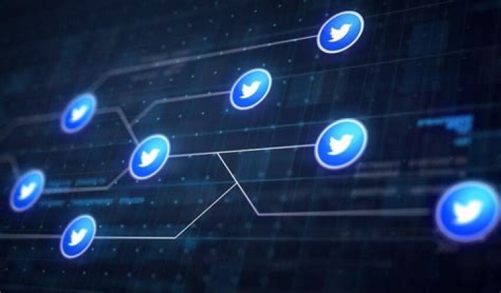 Finding Your Way: What Happened to sotwe türk and Other Twitter Alternatives?