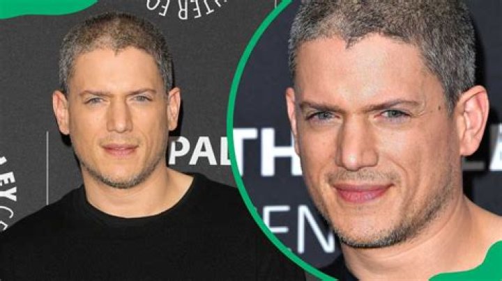 Is Wentworth Miller Husband Material? Exploring His Relationship Status and Public Life