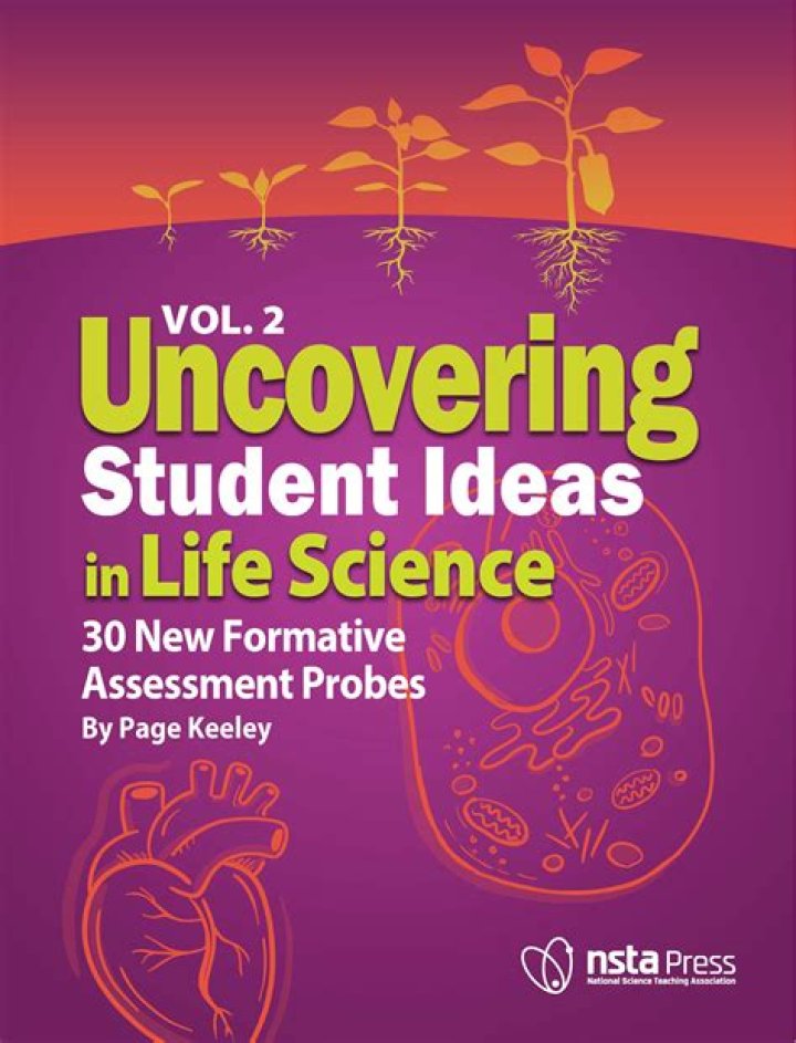 Uncovering Viralcand: How Ideas and Moments Truly Catch On
