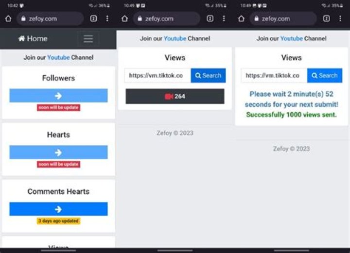 Unpacking Zefoy TikTok: A Closer Look at Boosting Your Presence