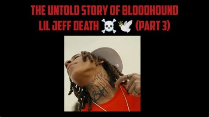 What Happened to Bloodhound Lil Jeff: Unraveling a Beloved Canine Mystery