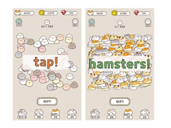 X Hamster